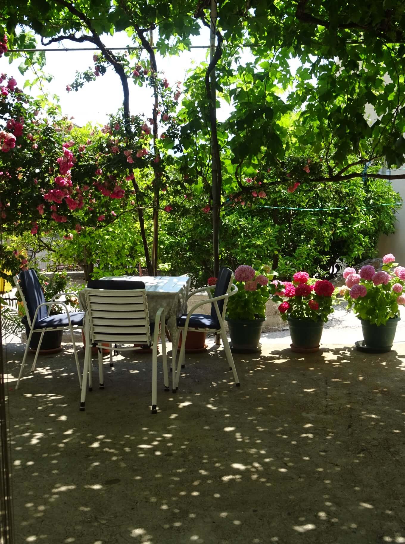 A3 - Apartments Neda